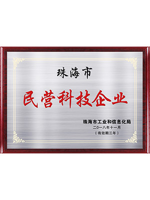 灵高民营科技企业证书