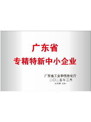 2025年广东省专精特新中小企业