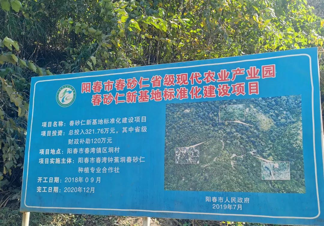 助力乡村振兴，灵科超声波参加阳江、茂名市乡村振兴活动项目