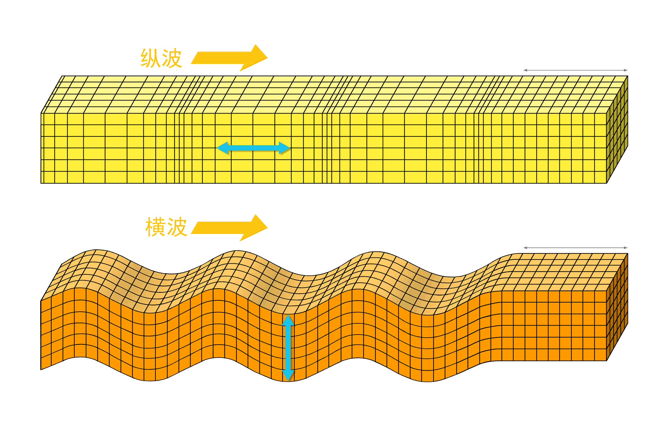 超声波纵波，横波声场的不同点